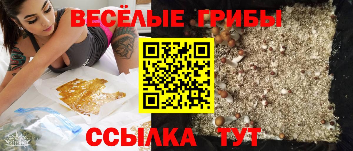 Псилоцибиновые грибы мухоморы Курганинск