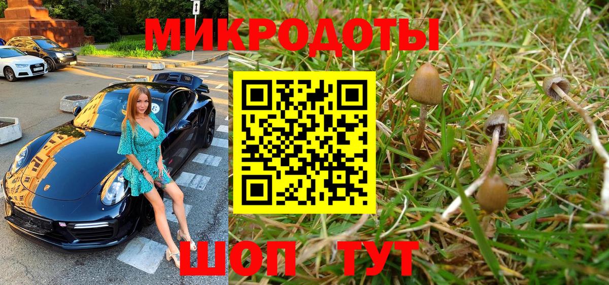 Галлюциногенные грибы Magic Shrooms  Псилоцибиновые грибы мицелий  Курганинск  Вход с VPN 